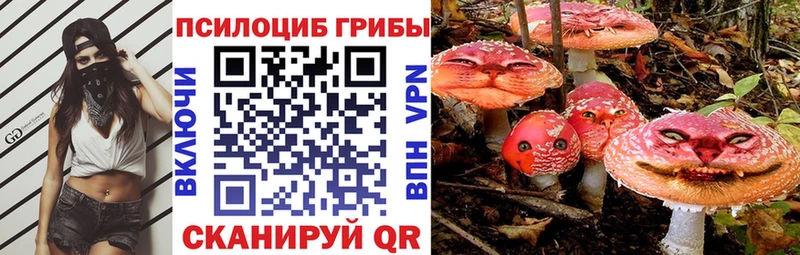 где купить   MEGA как войти  Галлюциногенные грибы Psilocybe  Макарьев 